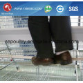 Bird Cage for Layer or Broiler in India